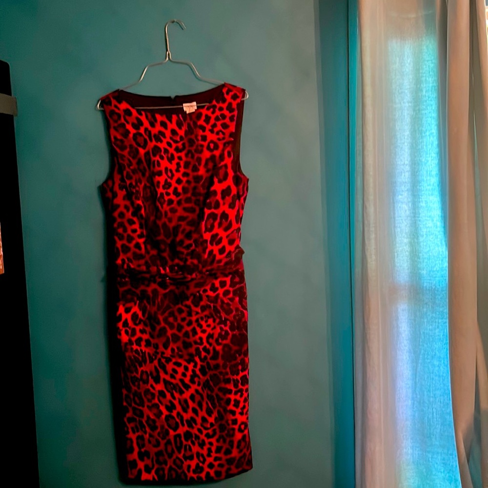 Size 10 Cache’ knee length dress